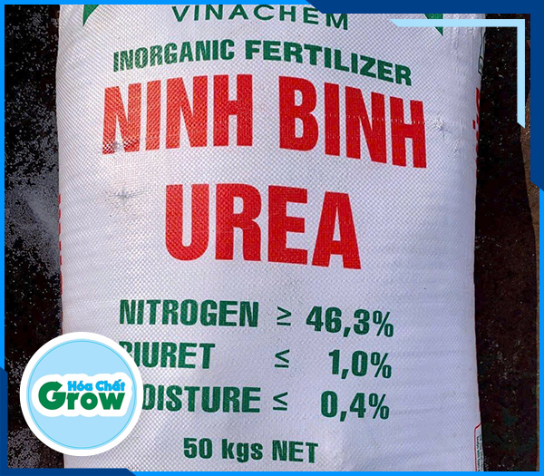 Đạm Ninh Bình